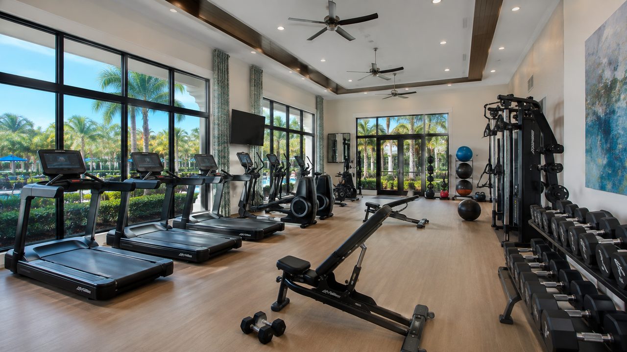 Fitness center interior with treadmills, weight equipment and windows looking onto palms